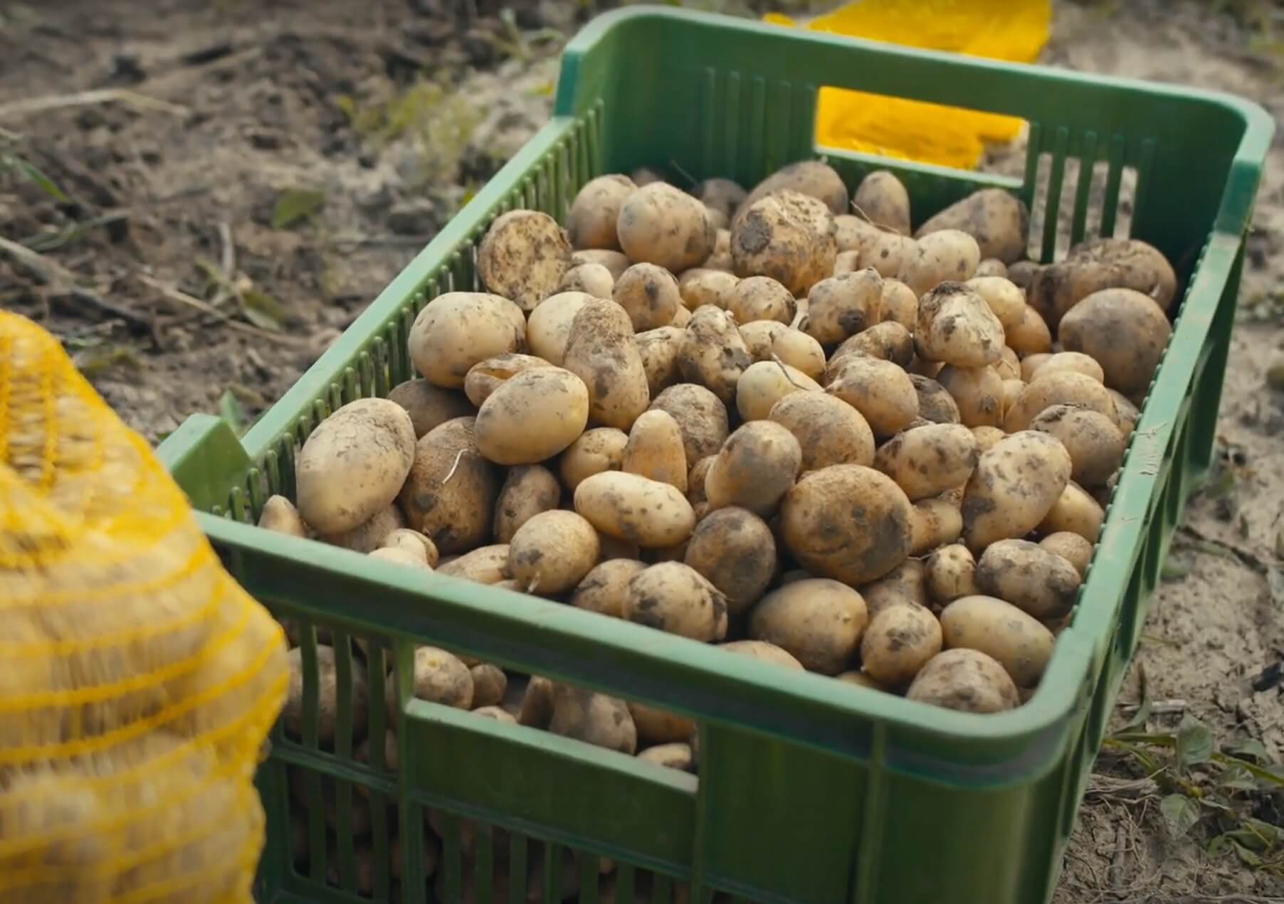 Fotografie - lidé v sociálním podniku Jasan