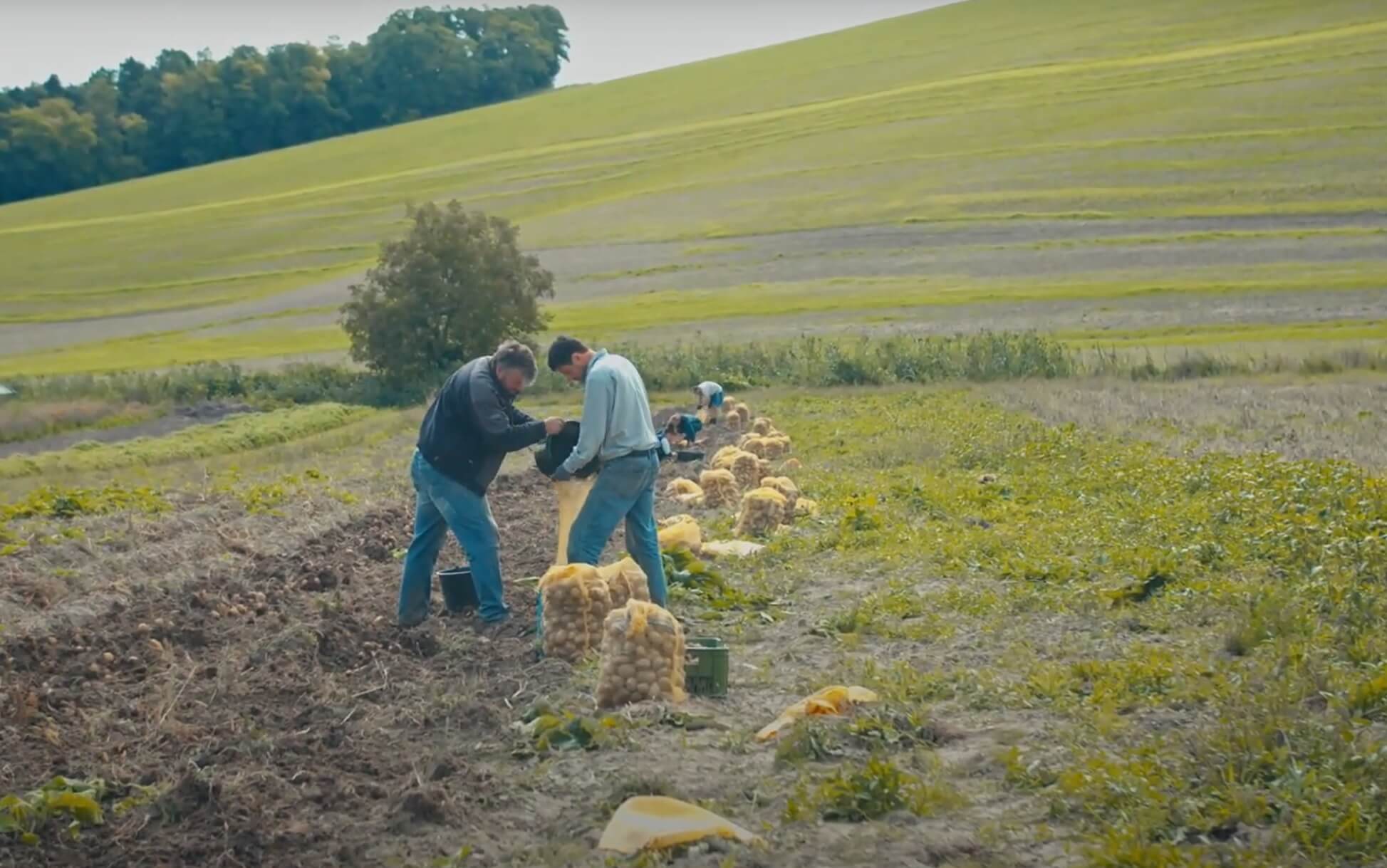 Fotografie - lidé v sociálním podniku Jasan