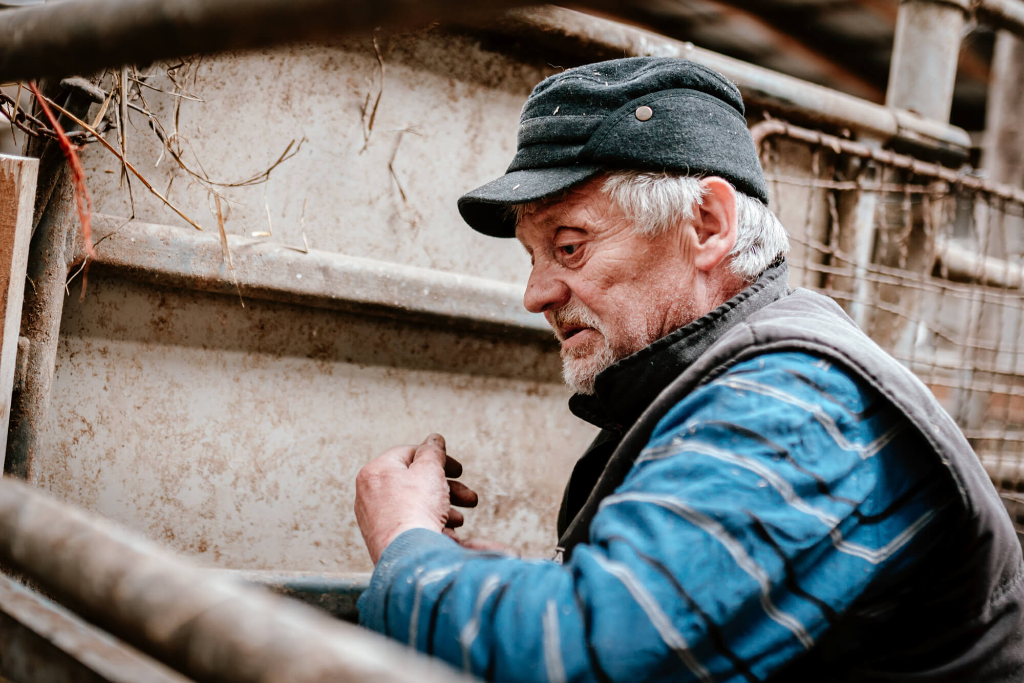 Fotografie - Květná zahrada