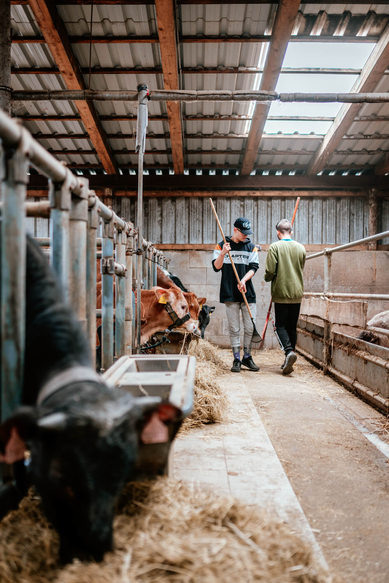 Fotografie - Květná zahrada
