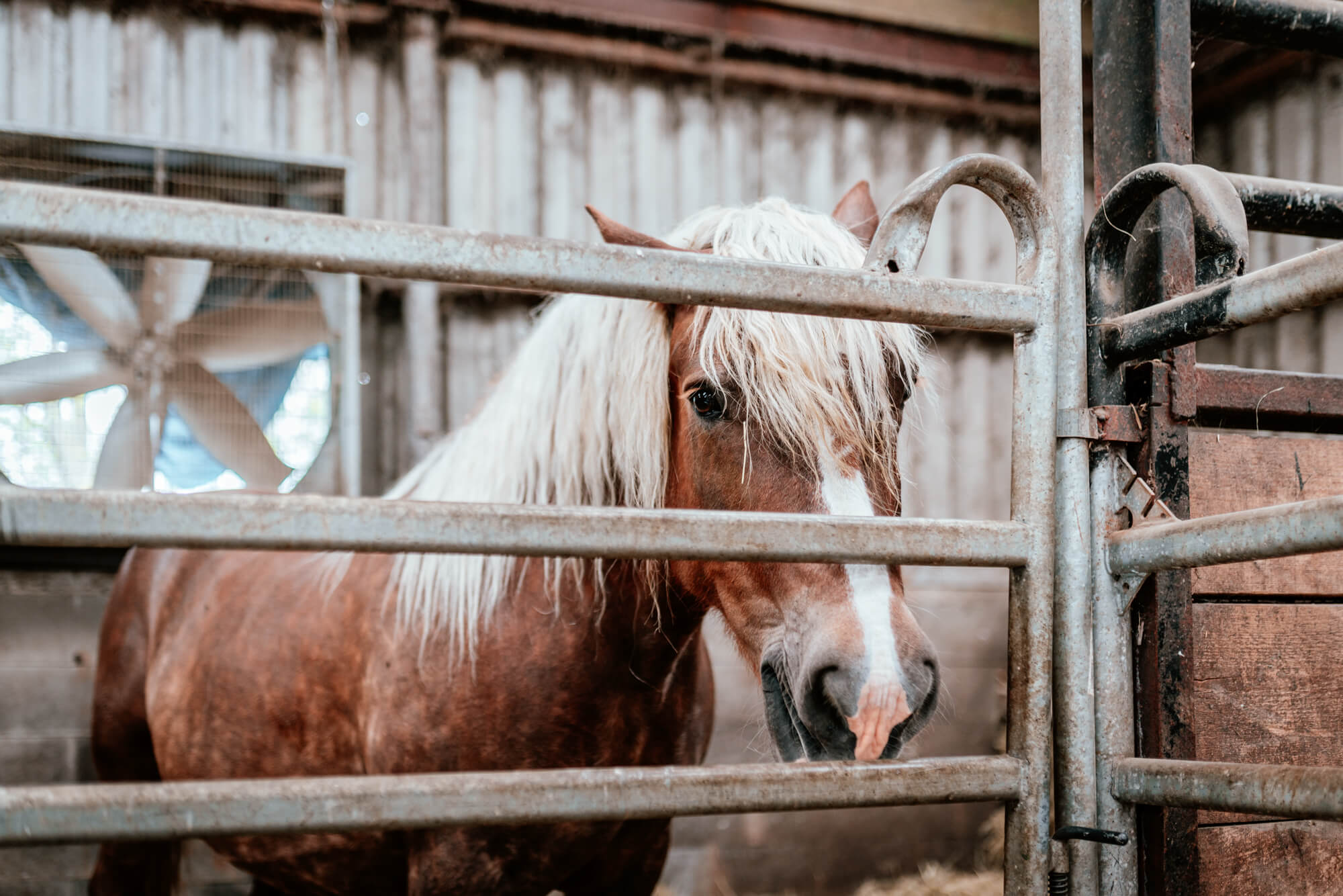 Fotografie - Květná zahrada