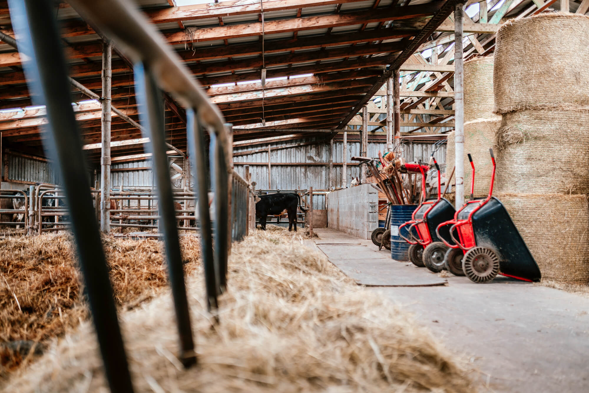 Fotografie - Květná zahrada